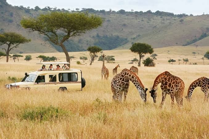 Alika Adventures: A Gateway to Unforgettable East African Experiences